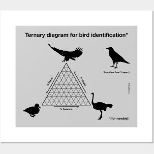 My bird identification diagram Posters and Art